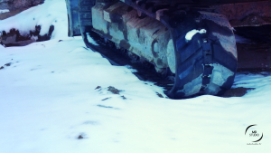 neige et dégel, pause de chantier, activité végétale