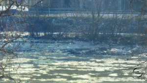 neige et dégel, pause de chantier, activité végétale