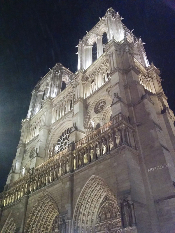 Notre Dame de Paris vue de nuit