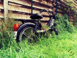 Cyclomoteur envahi d'herbe | Quand Nature reprend ses droits | photo MDstudio