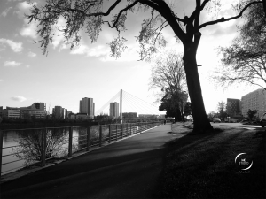 sur le quai Malakoff, golden hour | Nantes