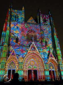 Cathédrale de Nantes | illumination florale en projection | MDstudio