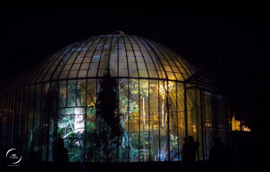 Serres Tropicales en visite nocturne | Jardin des Plantes de Nantes | photo MDstudio