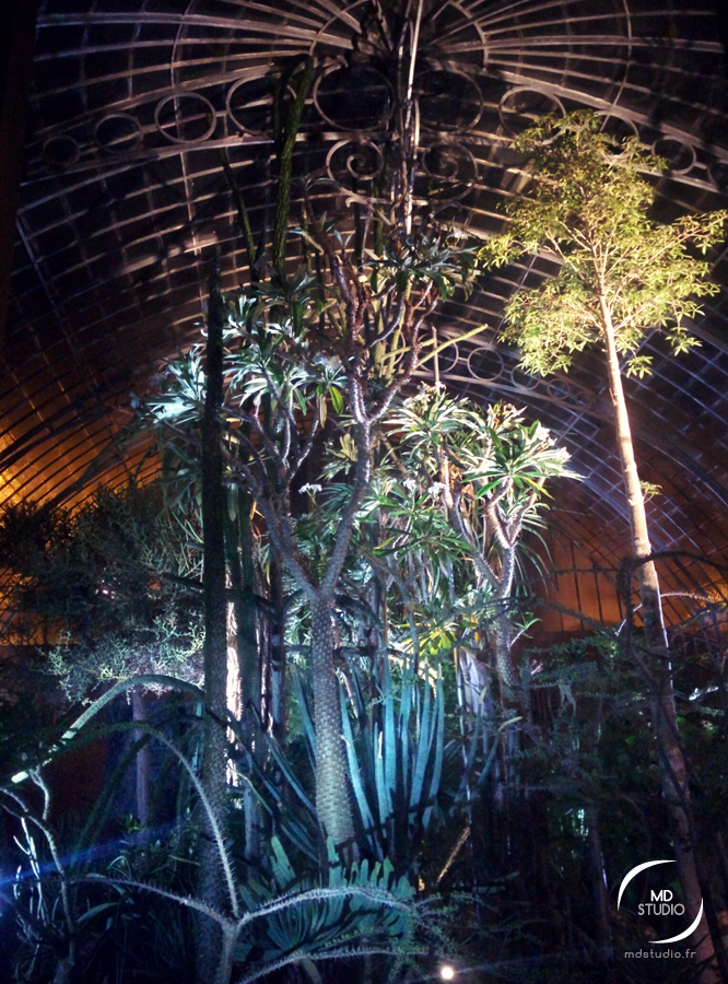 Serres Tropicales en visite nocturne | Jardin des Plantes de Nantes | photo MDstudio