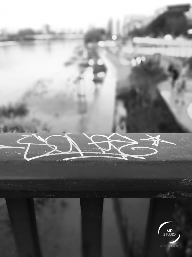Vue en noir et blanc au dessus des berges inondées | SkatePark à Nantes