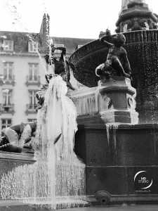 Fontaine place Royale | gel vu de dos | MDstudio