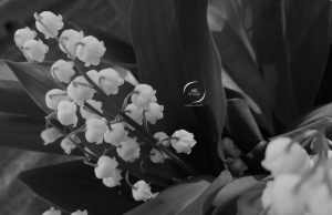 Fête du travail, muguet au sérail | photo MDstudio