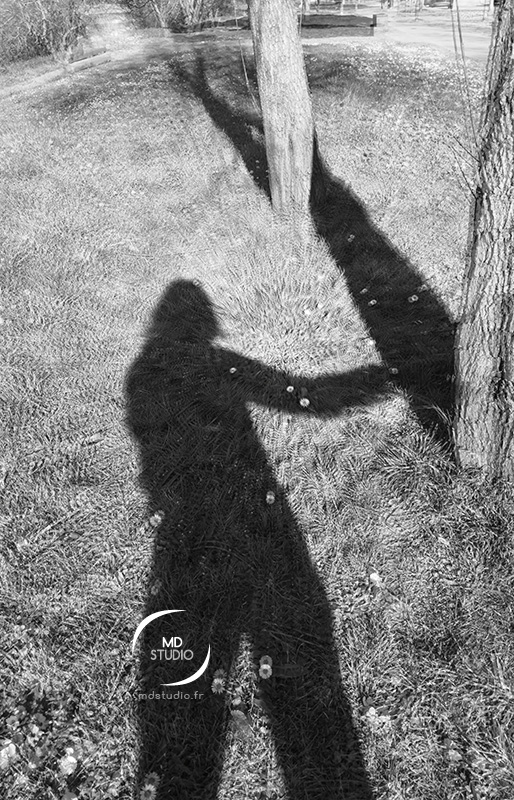photographie en noir et blanc, projection ombre, silhouette humaine & tronc d'arbre, herbe et pâquerettes | photo MDstudio