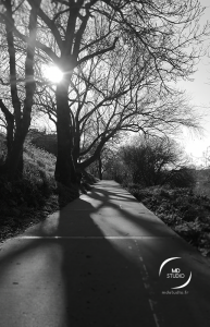 photographie en noir et blanc, vue d'un chemin en bord de Loire, contre-jour, ombre des branches sur le talus et l'asphalte | photo MDstudio
