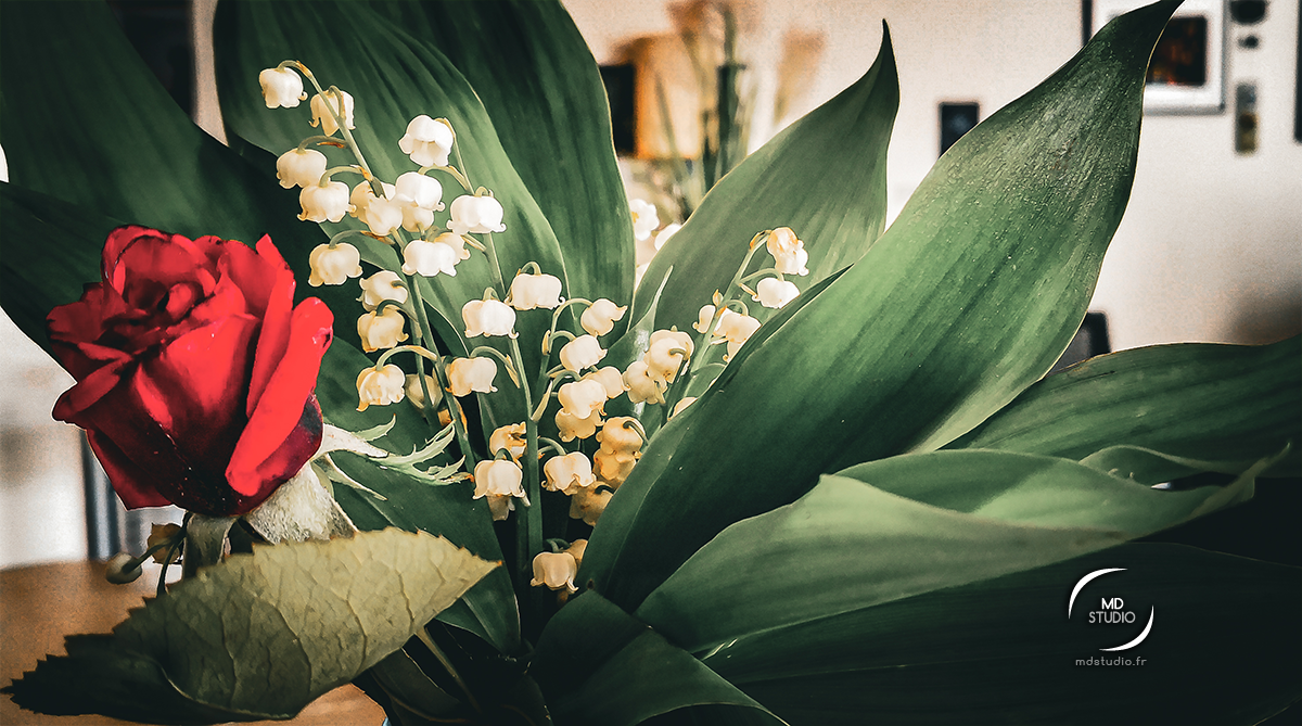 photographie en plan rapproché d'un vase avec son bouquet, composé de brins de muguet aux clochettes blanches et aux feuilles vertes, ainsi qu'une rose rouge.
